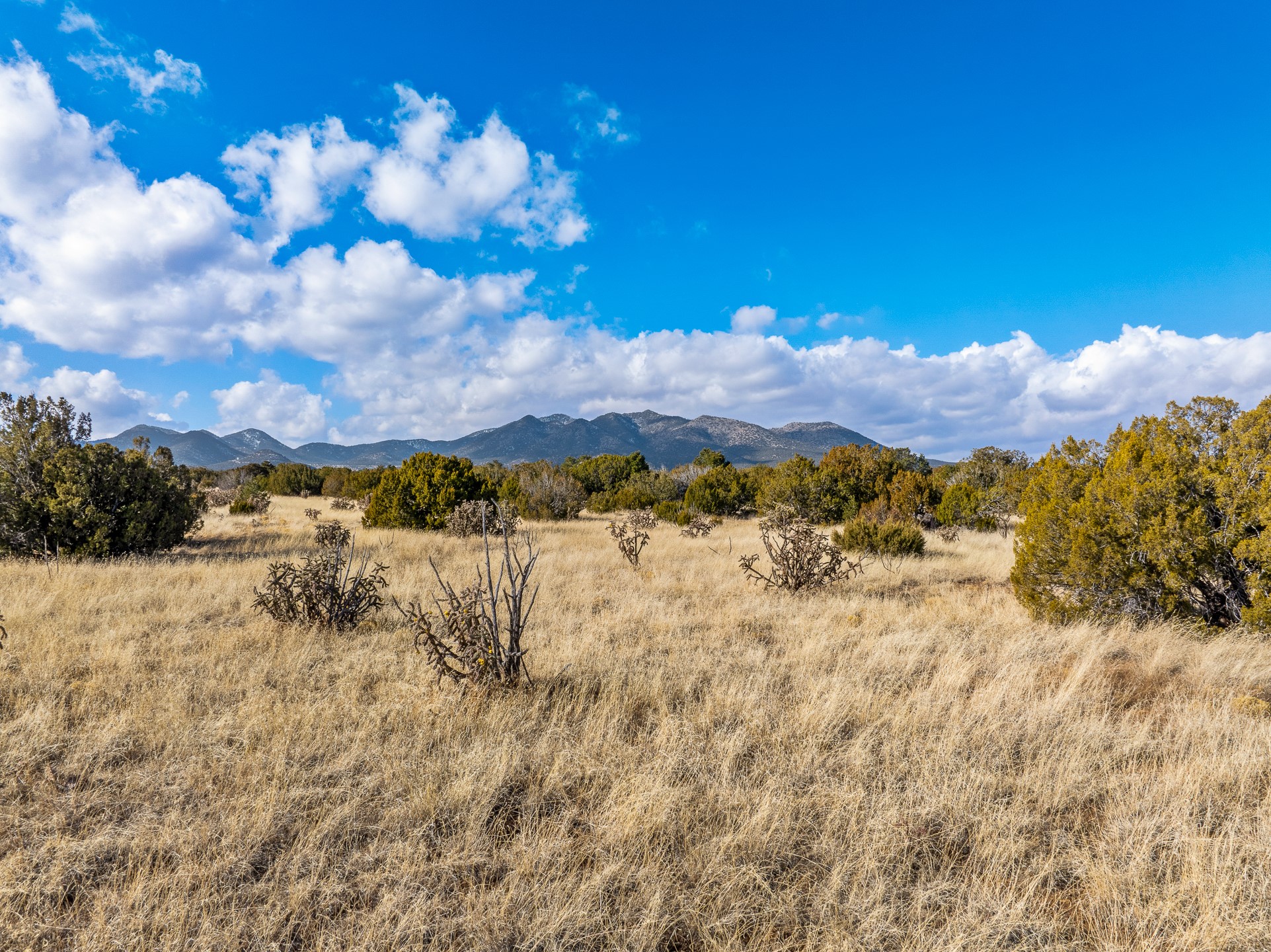 156 Wagon Trail Road Cerrillos, NM 87010 - Photo 10 of 24