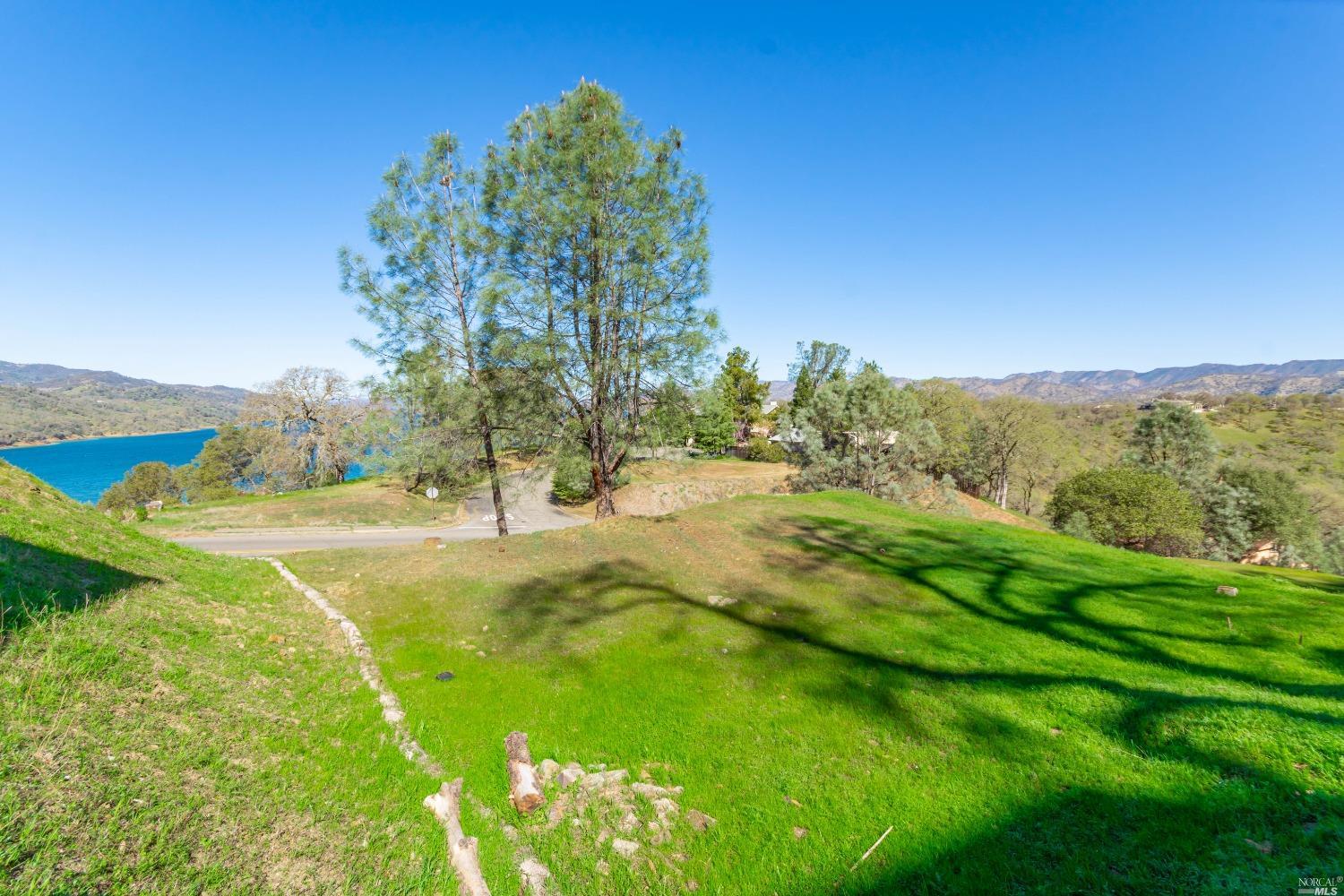 1276 Steele Canyon Road Napa, CA 94558 - Photo 8 of 18