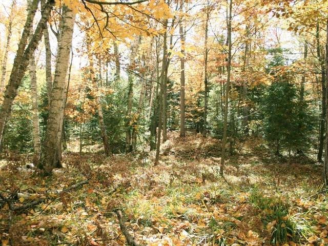2424 Halberstadt Road St. Germain, WI 54558 - Photo 12 of 15 Gallery Image 12