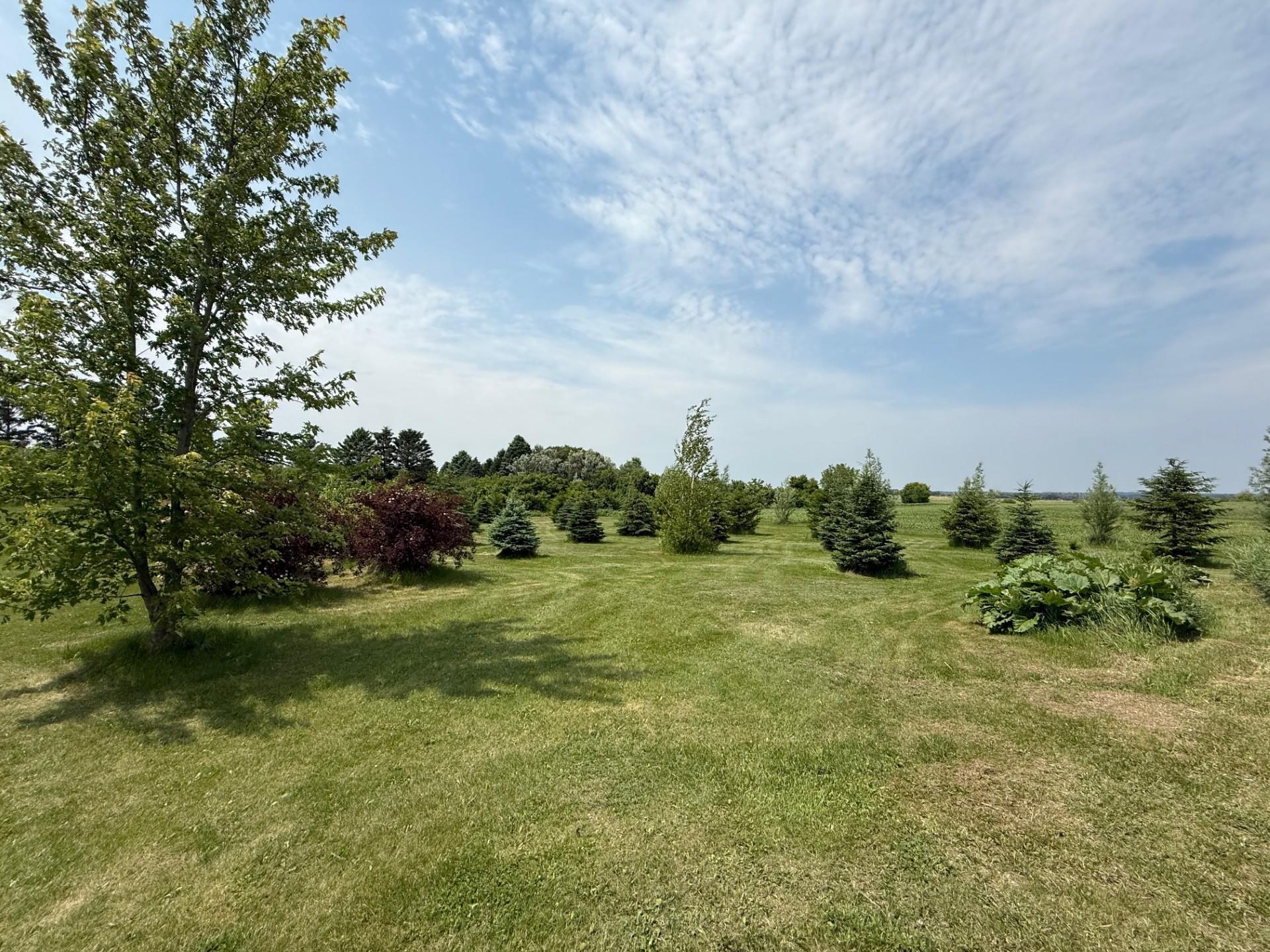 17216 County Road 5 Northwest New London, MN 56273 - Photo 10 of 84