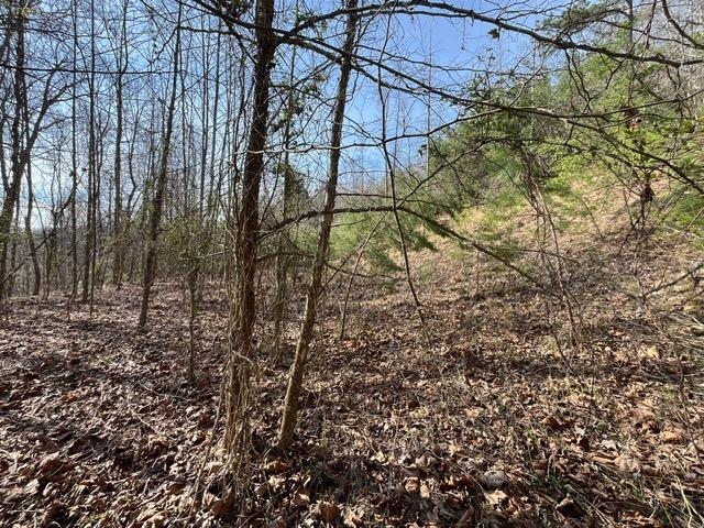 326 Earl Crisp Road Sandy Hook, KY 41171 - Photo 4 of 10