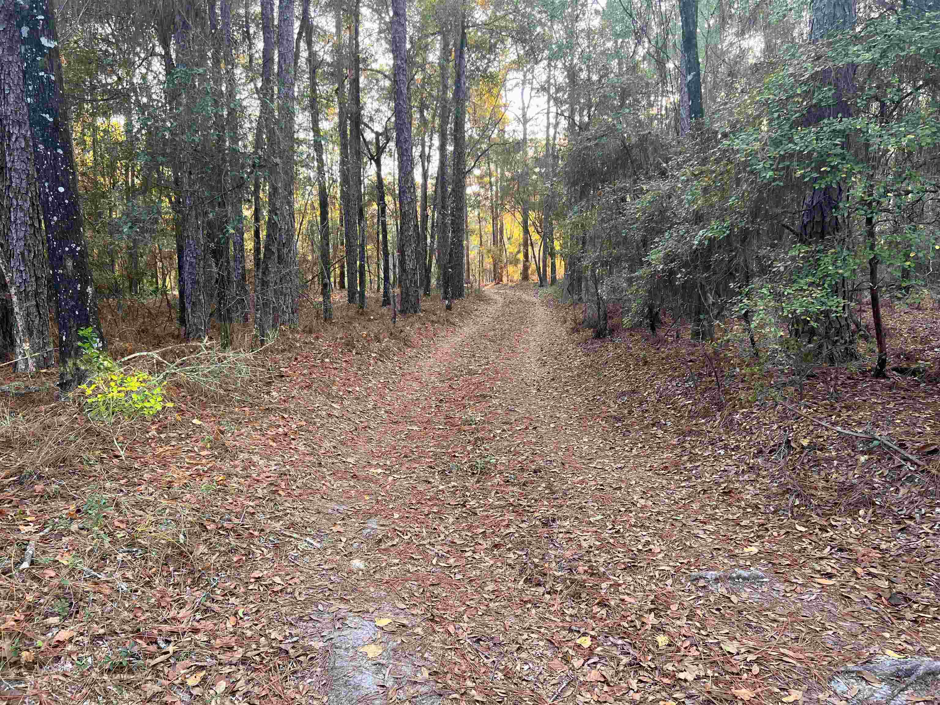 520 New Light Church Road Crawfordville, FL 32327 - Photo 2 of 18