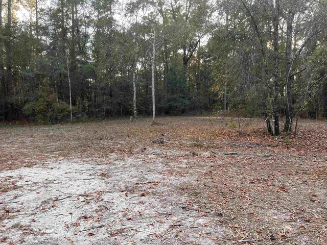 $295,000 | 520 New Light Church Road, Crawfordville, FL 32327