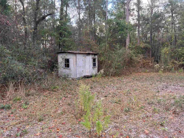 $295,000 | 520 New Light Church Road, Crawfordville, FL 32327