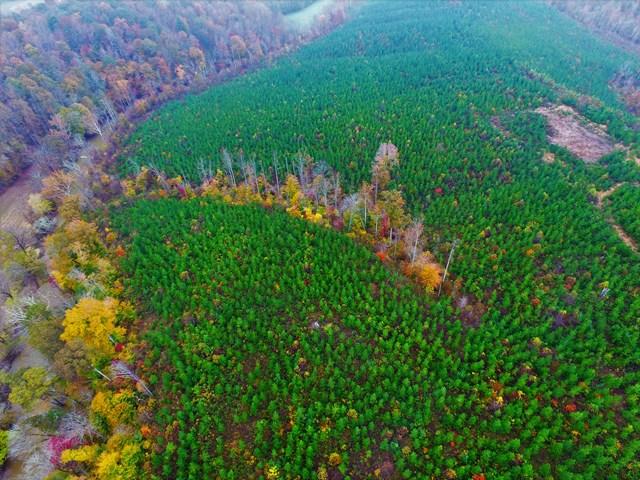 0 Burwell Road Rocky Mount, VA 24151 - Photo 3 of 11 Wooded Acreage