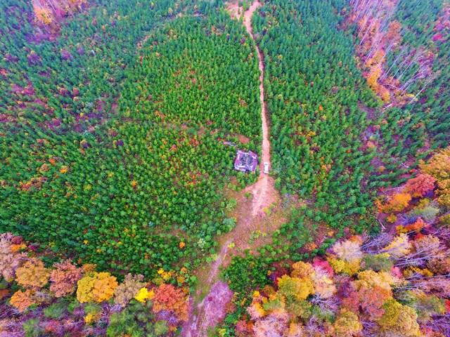 0 Burwell Road Rocky Mount, VA 24151 - Photo 5 of 11 Wooded Acreage