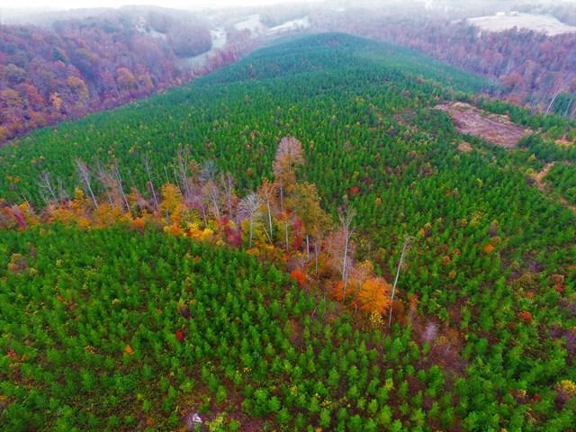 0 Burwell Road Rocky Mount, VA 24151 - Photo 6 of 11 Wooded Acreage