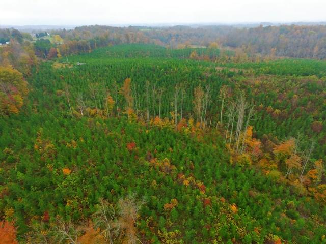 0 Burwell Road Rocky Mount, VA 24151 - Photo 7 of 11 Wooded Acreage