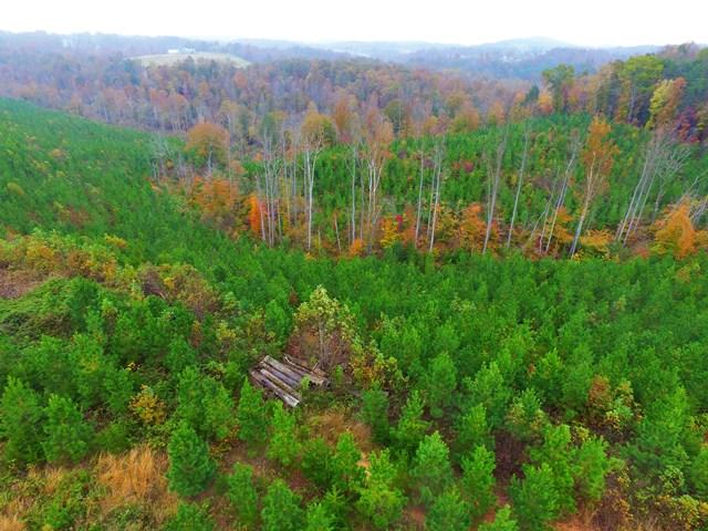 0 Burwell Road Rocky Mount, VA 24151 - Photo 8 of 11 Wooded Acreage