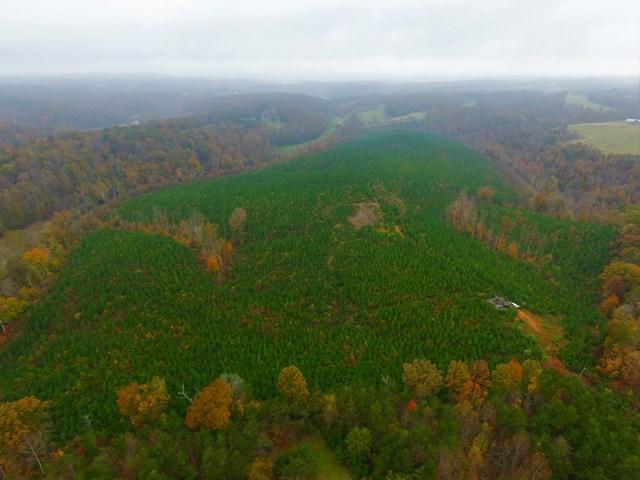 0 Burwell Road Rocky Mount, VA 24151 - Photo 9 of 11 Wooded Acreage