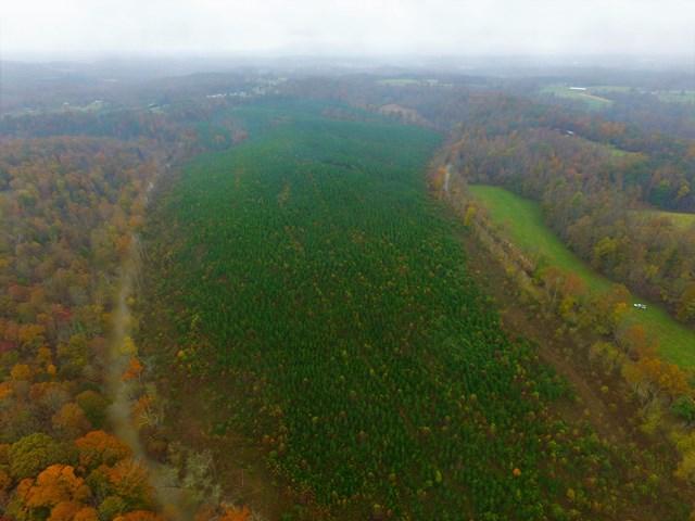0 Burwell Road Rocky Mount, VA 24151 - Photo 10 of 11 Wooded Acreage
