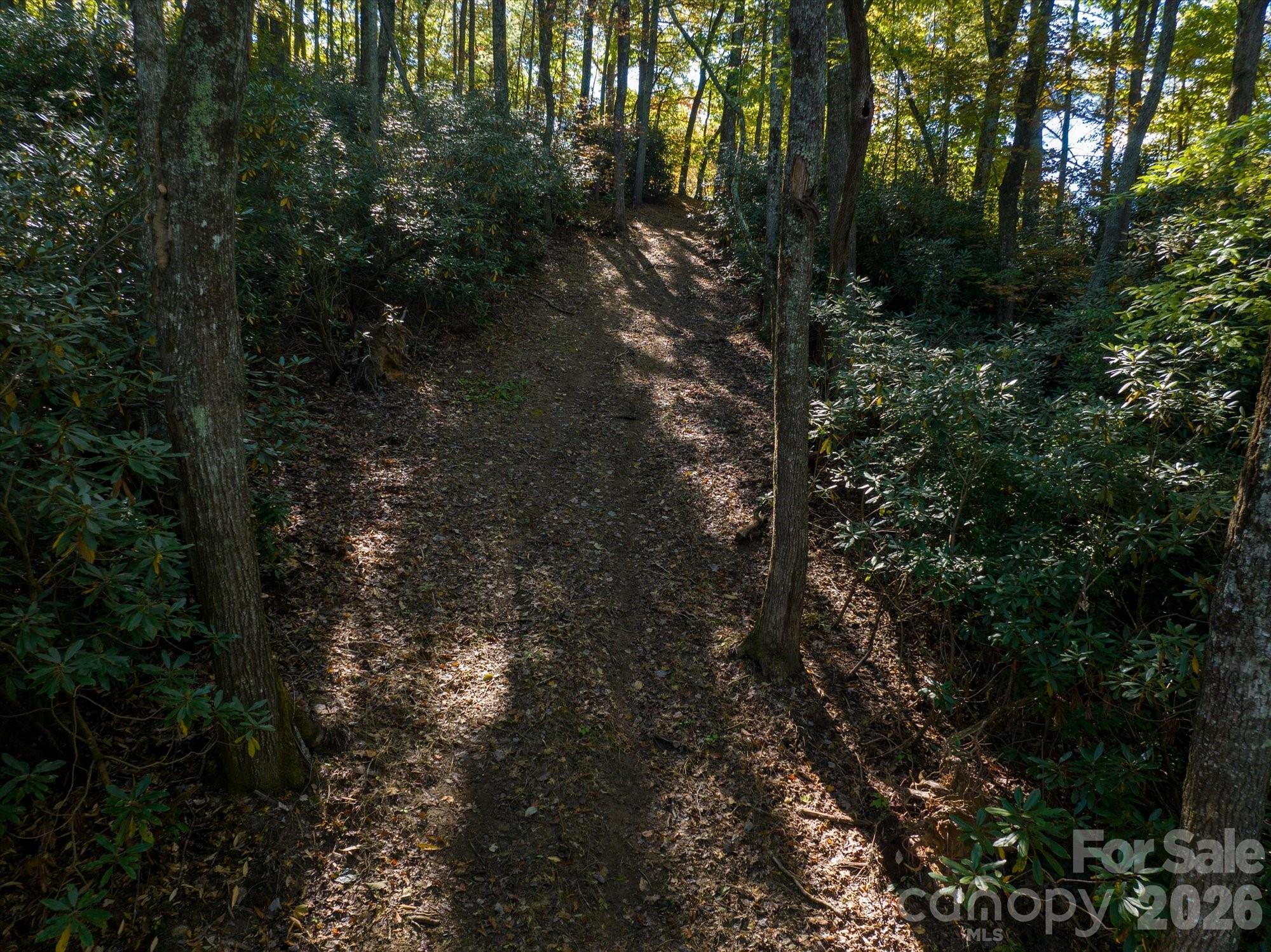 0 Big Hungry Road Flat Rock, NC 28731 - Photo 15 of 40 a view of outdoor space and covered with trees