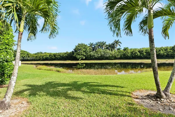 a view of a lake with a palm and trees