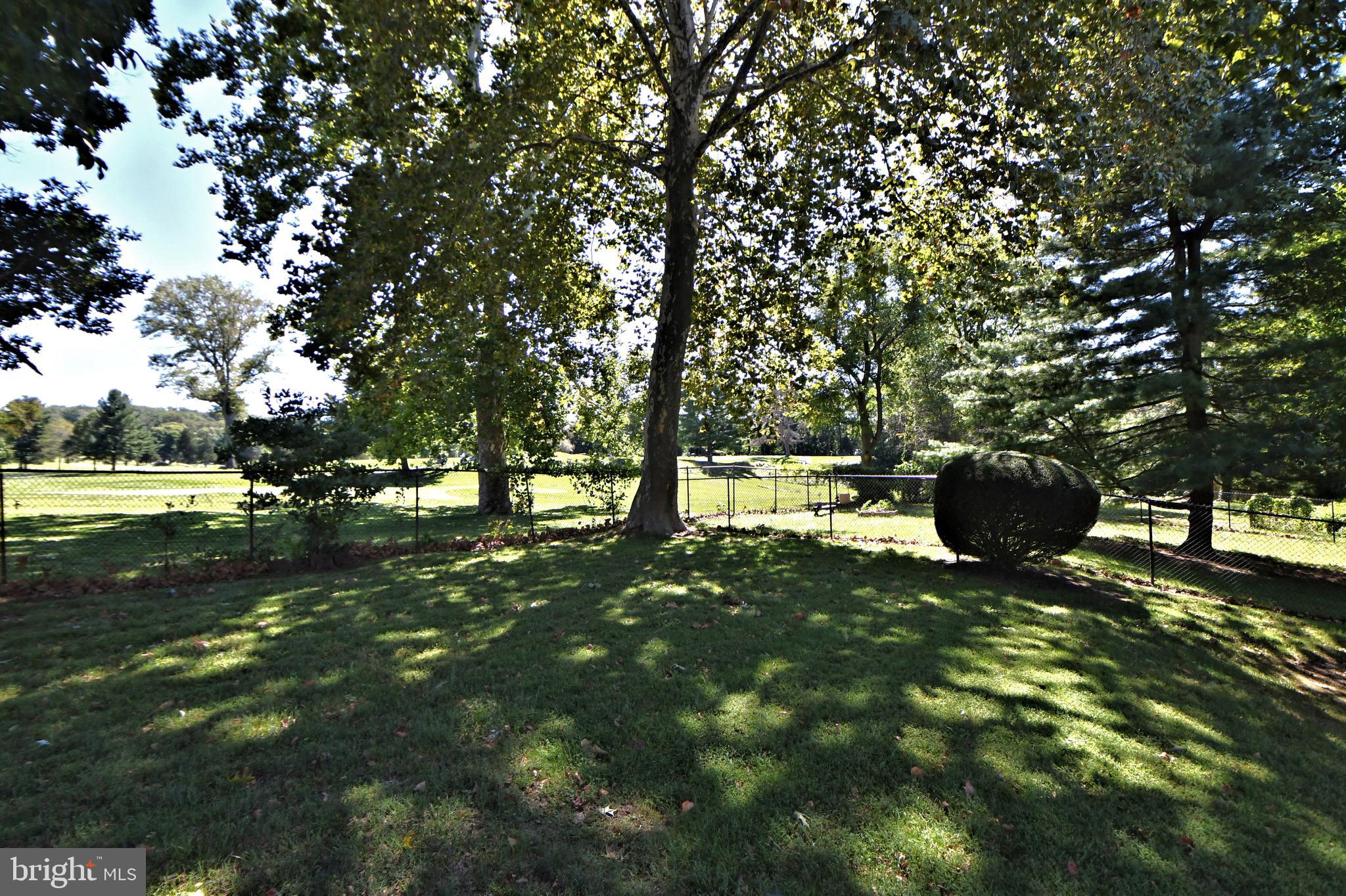 308 Paper Mill Road Oreland, PA 19075 - Photo 45 of 47 Rear yard