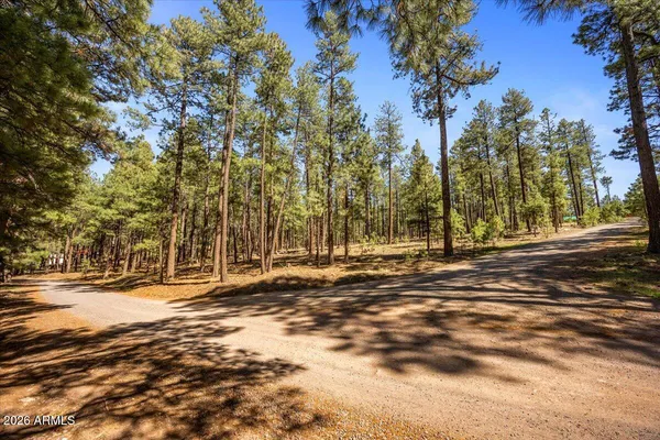 a view of outdoor space with trees