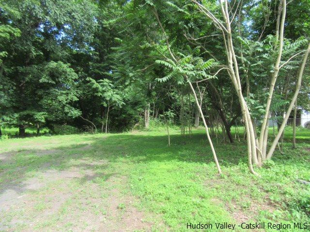 3611 Main Street Stone Ridge, NY 12484 - Photo 5 of 14 a view of a backyard with a slide