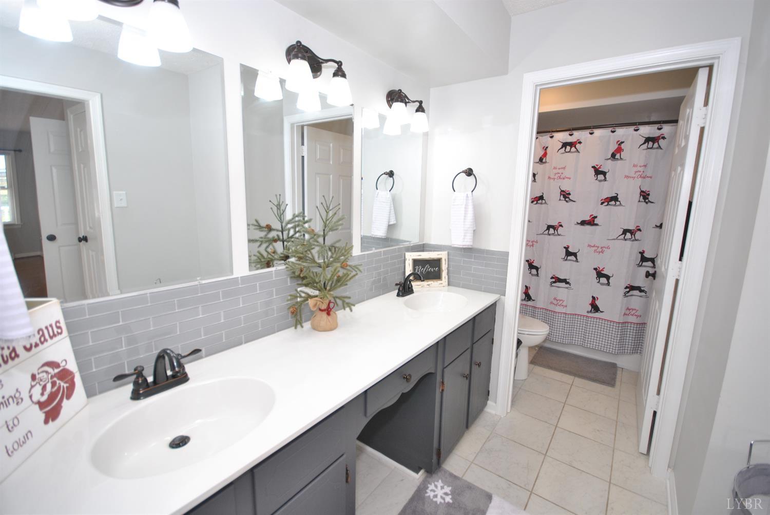 3350 Roaring Run Road Goode, VA 24556 - Photo 43 of 90 Master Bath
