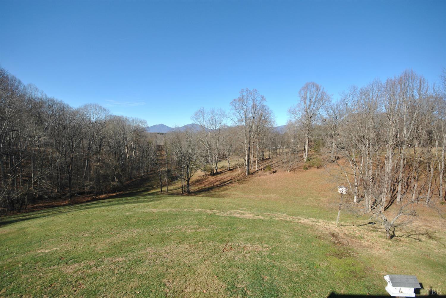 3350 Roaring Run Road Goode, VA 24556 - Photo 75 of 90 a view of a yard with a tree