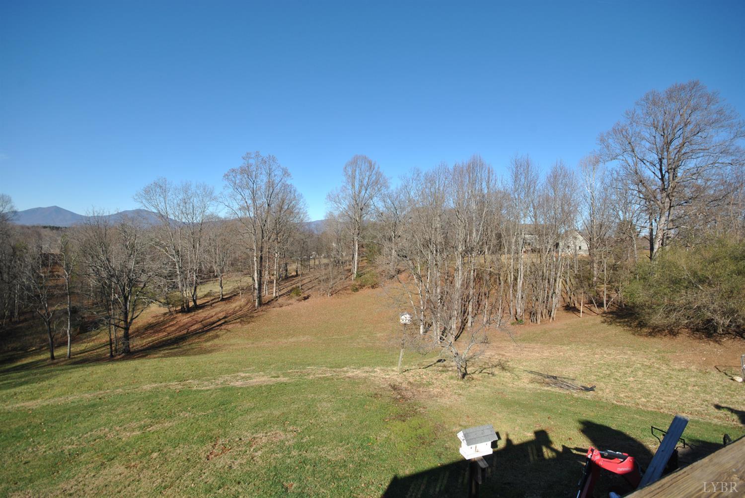 3350 Roaring Run Road Goode, VA 24556 - Photo 76 of 90 a view of a field with a snow in the background