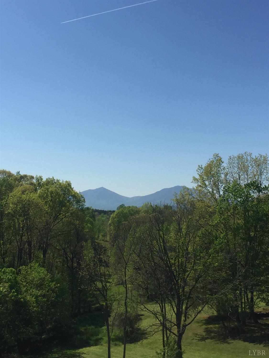 3350 Roaring Run Road Goode, VA 24556 - Photo 85 of 90 a view of a mountain range with trees in the background