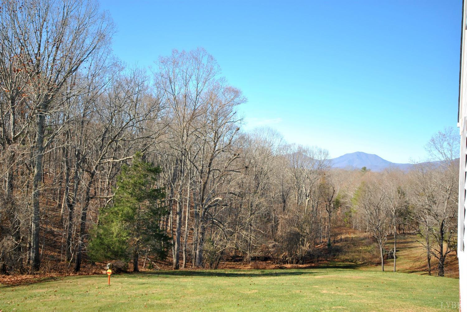 3350 Roaring Run Road Goode, VA 24556 - Photo 9 of 90