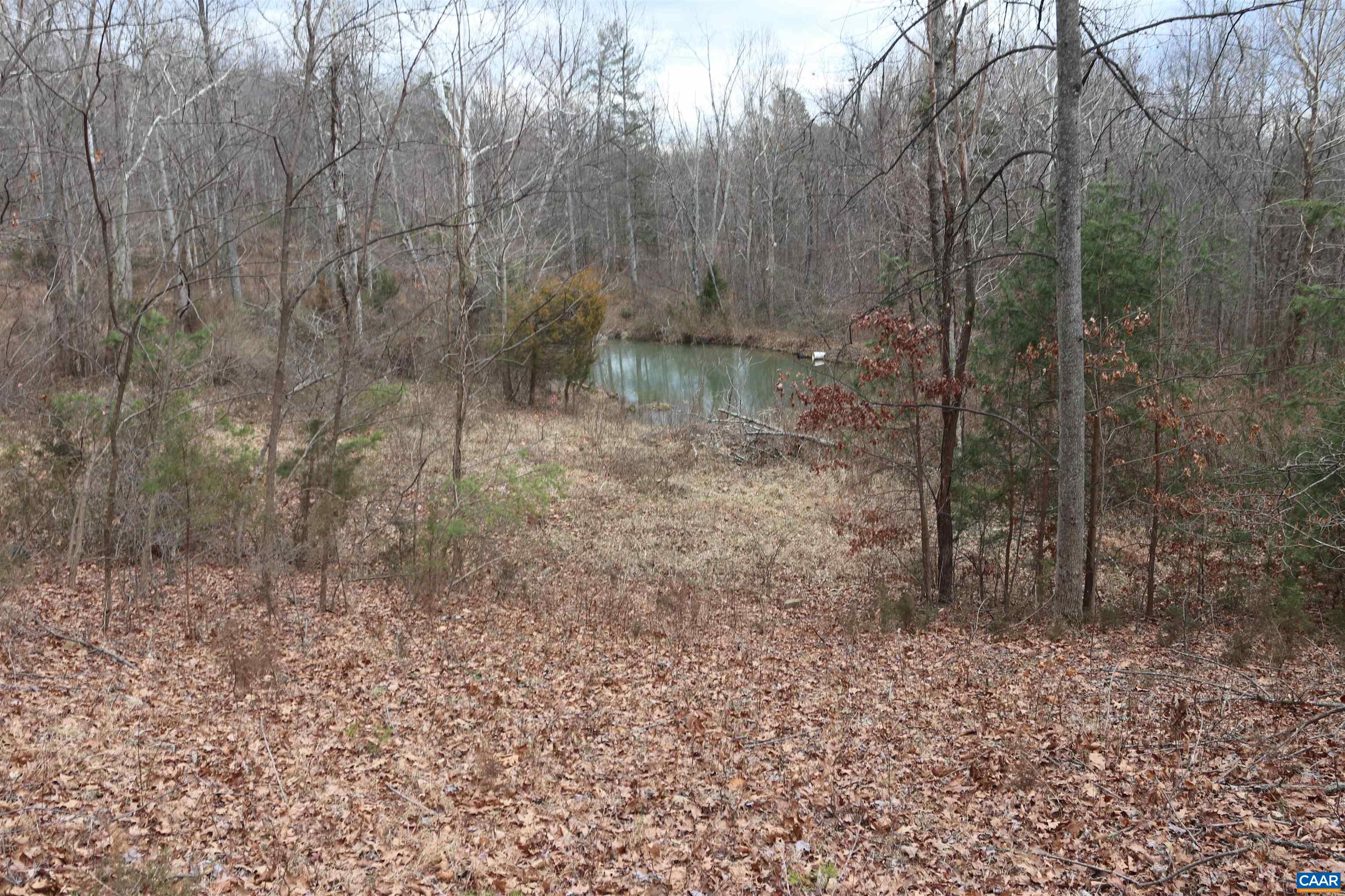 2150 Simmons Gap Road Dyke, VA 22935 - Photo 12 of 14 Gallery Image 12