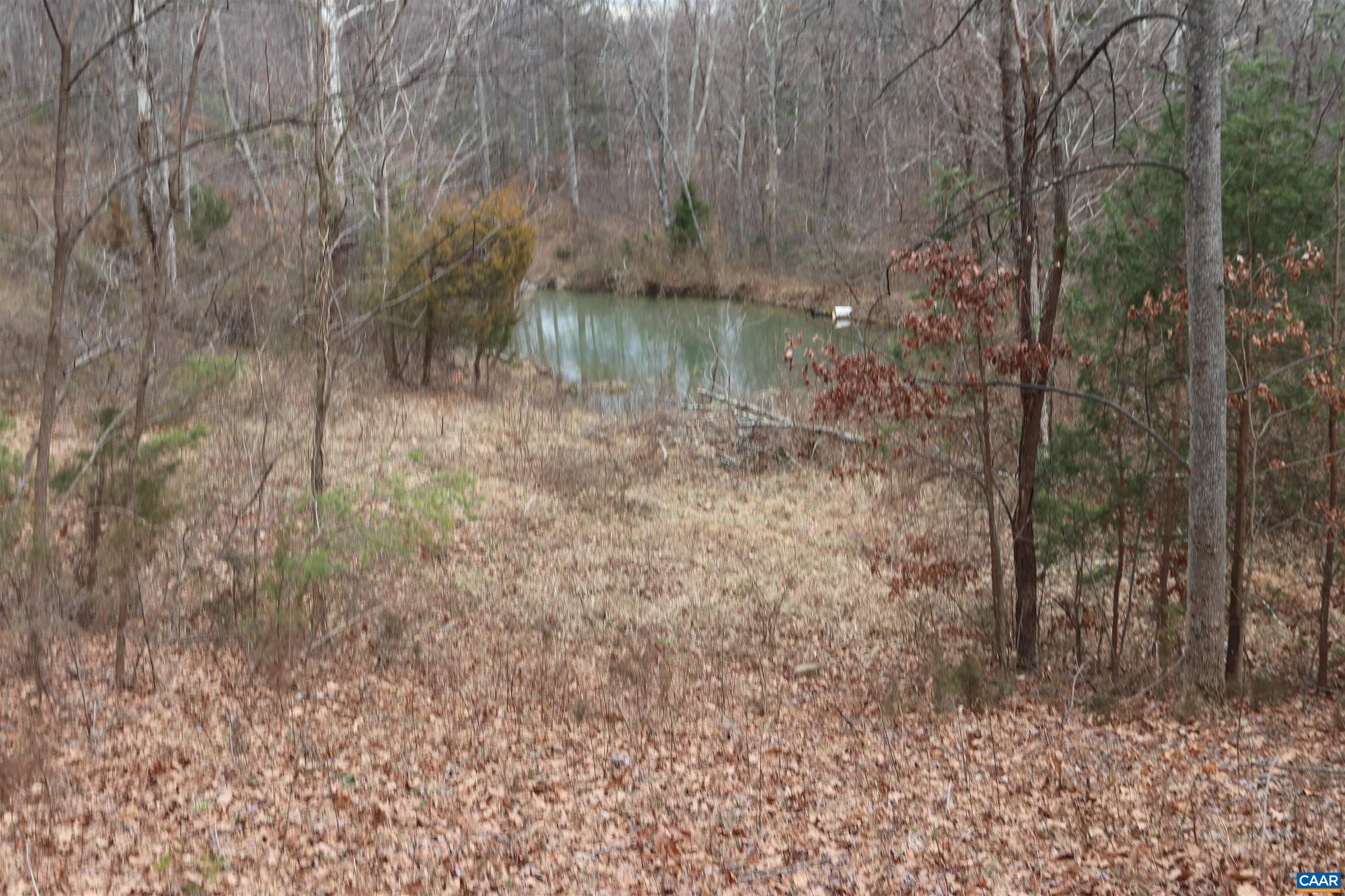 2150 Simmons Gap Road Dyke, VA 22935 - Photo 13 of 14 Gallery Image 13