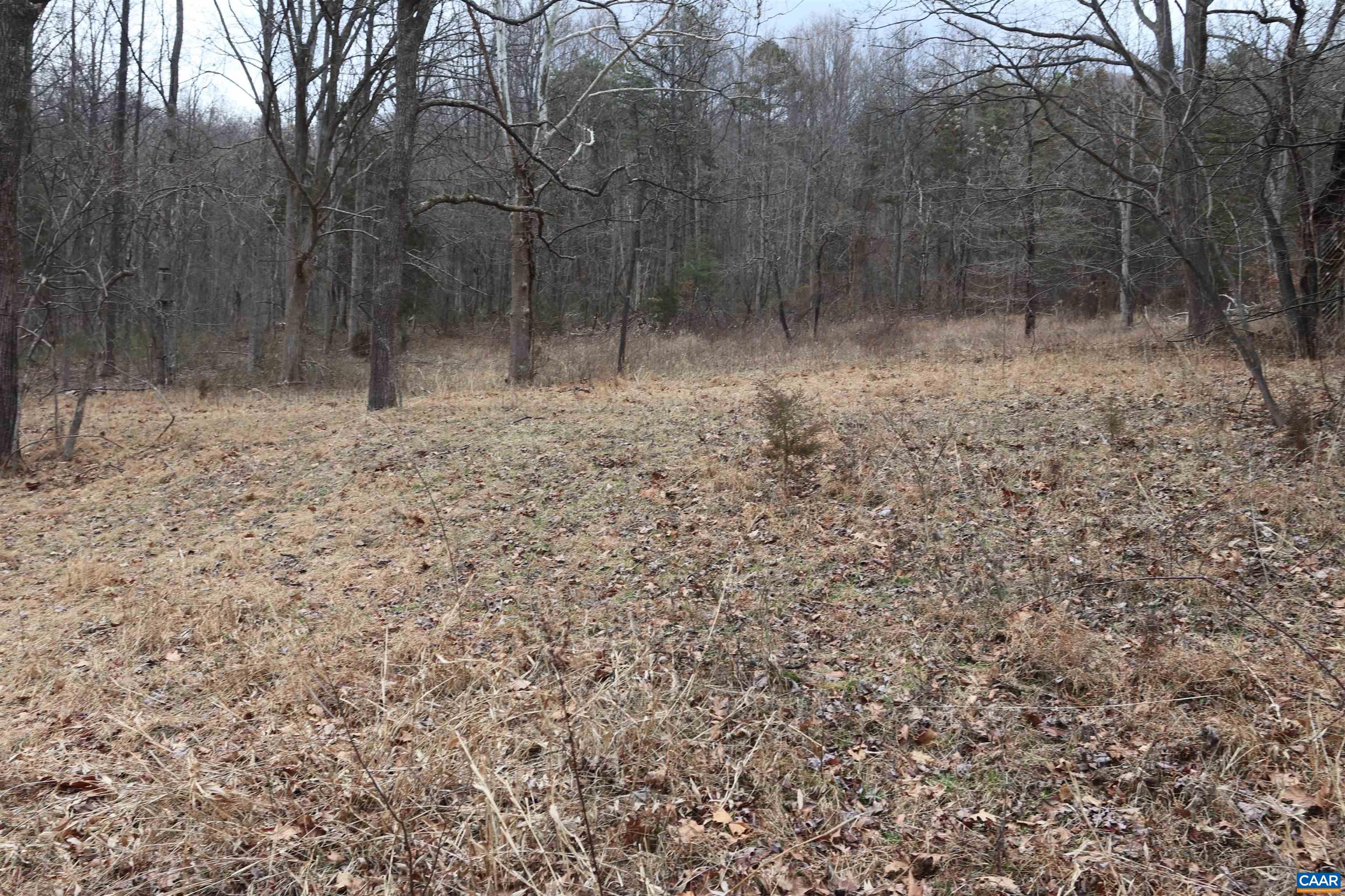 2150 Simmons Gap Road Dyke, VA 22935 - Photo 14 of 14 Gallery Image 14
