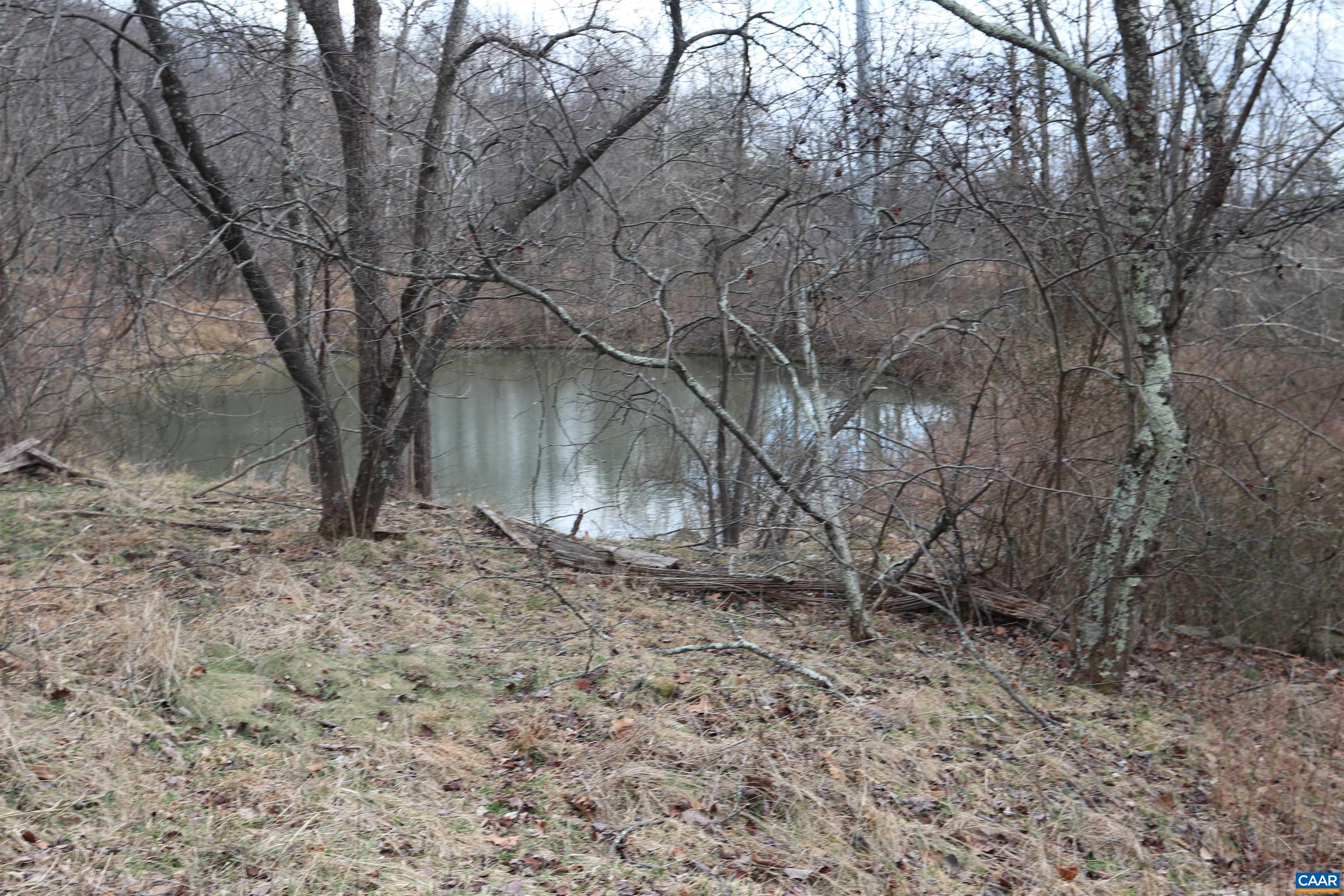 2150 Simmons Gap Road Dyke, VA 22935 - Photo 4 of 14 Gallery Image 4