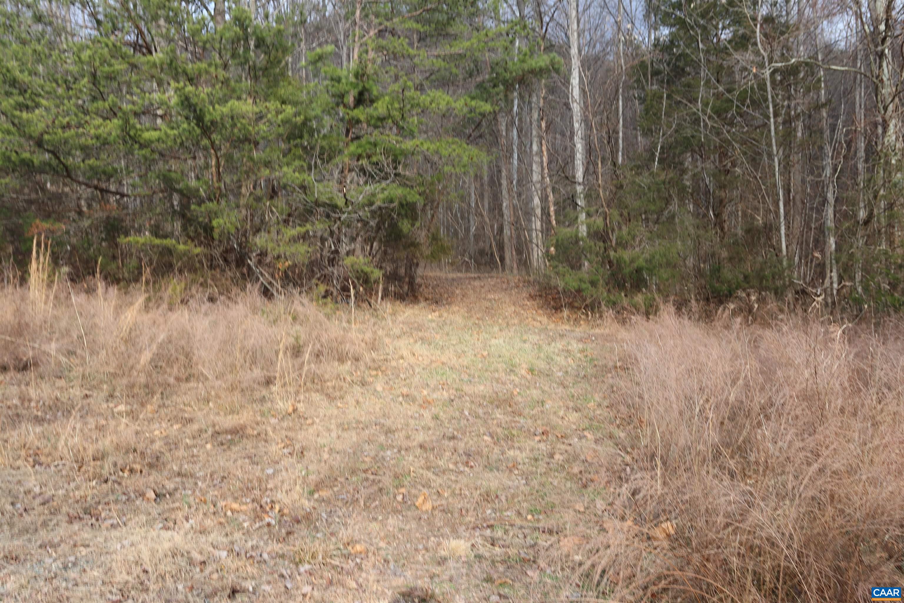 2150 Simmons Gap Road Dyke, VA 22935 - Photo 6 of 14 Gallery Image 6
