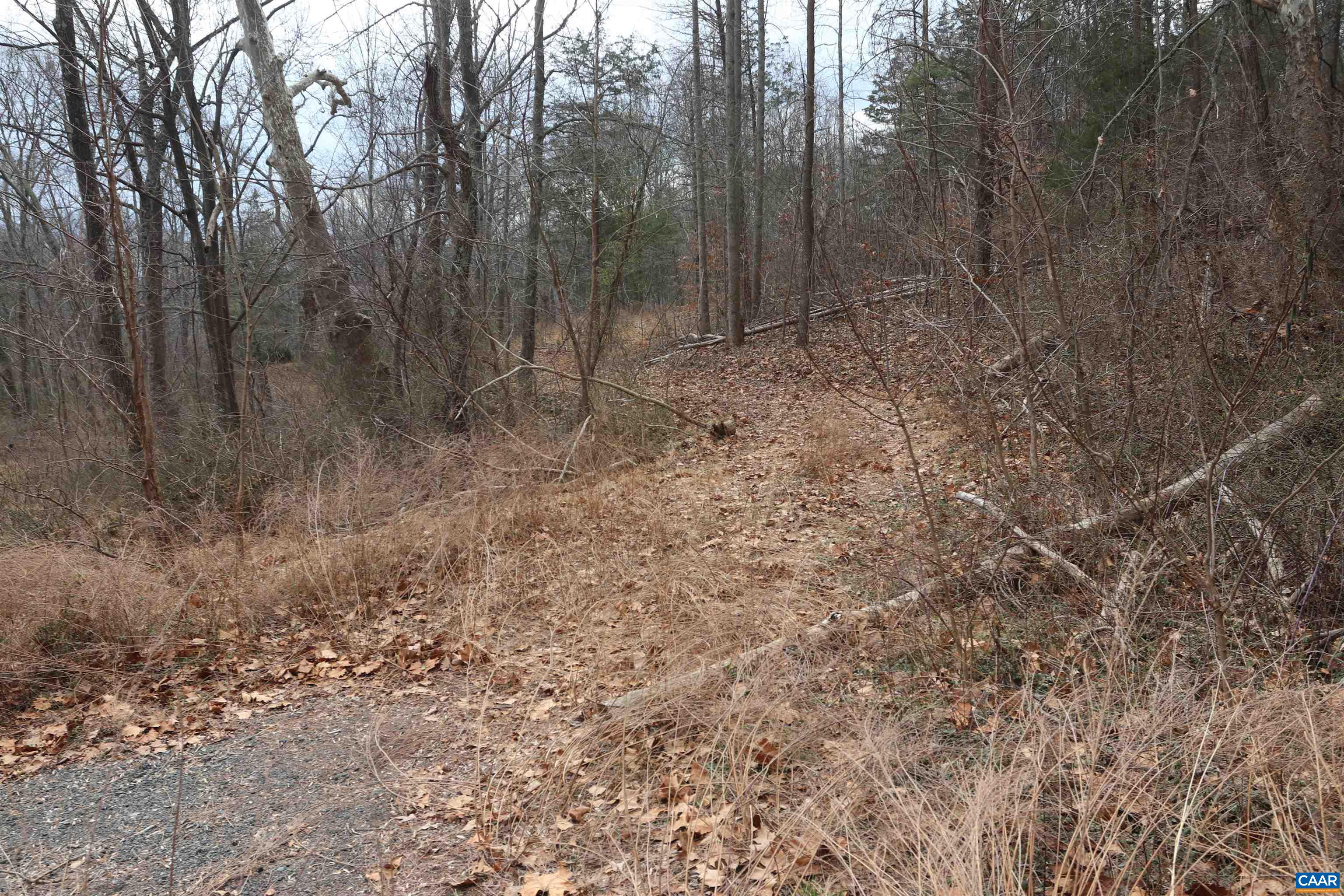 2150 Simmons Gap Road Dyke, VA 22935 - Photo 7 of 14 Gallery Image 7