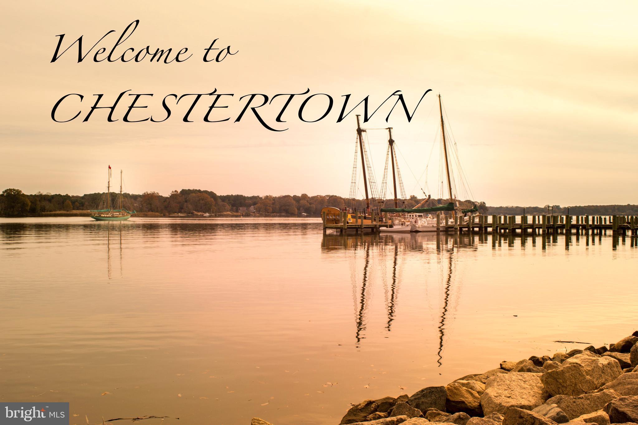 24339 Chestertown Road Chestertown, MD 21620 - Photo 26 of 35 a view of ocean