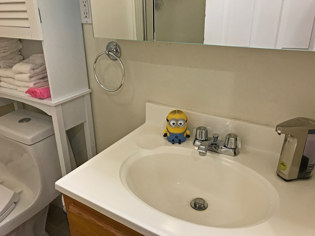 130 West 8th Street, Unit 3 Boston, MA 02127 - Photo 26 of 32 a bathroom with a sink and a vanity