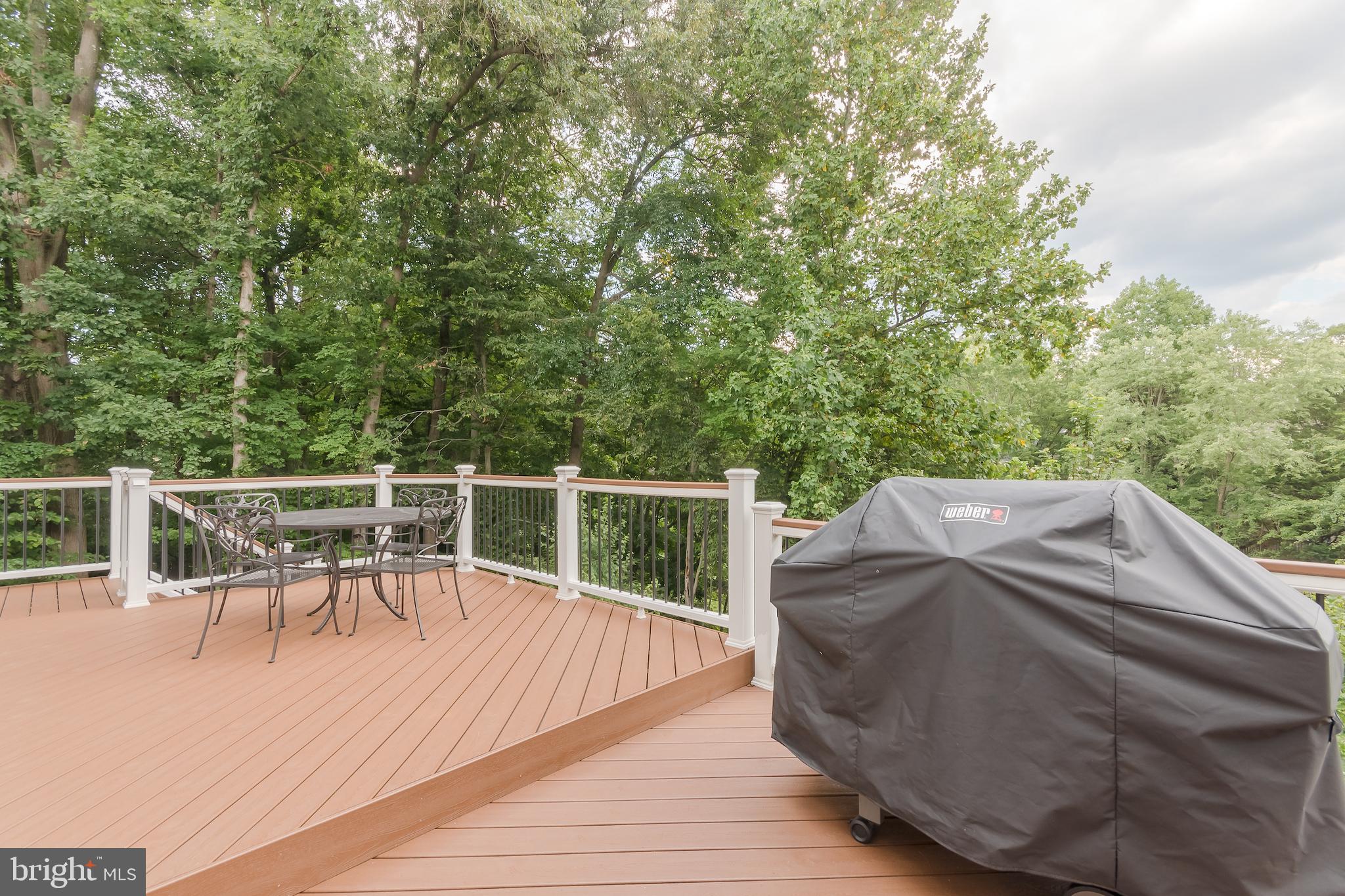 8156 Ridge Creek Way Springfield, VA 22153 - Photo 23 of 57 New, low-maintenance Trex deck