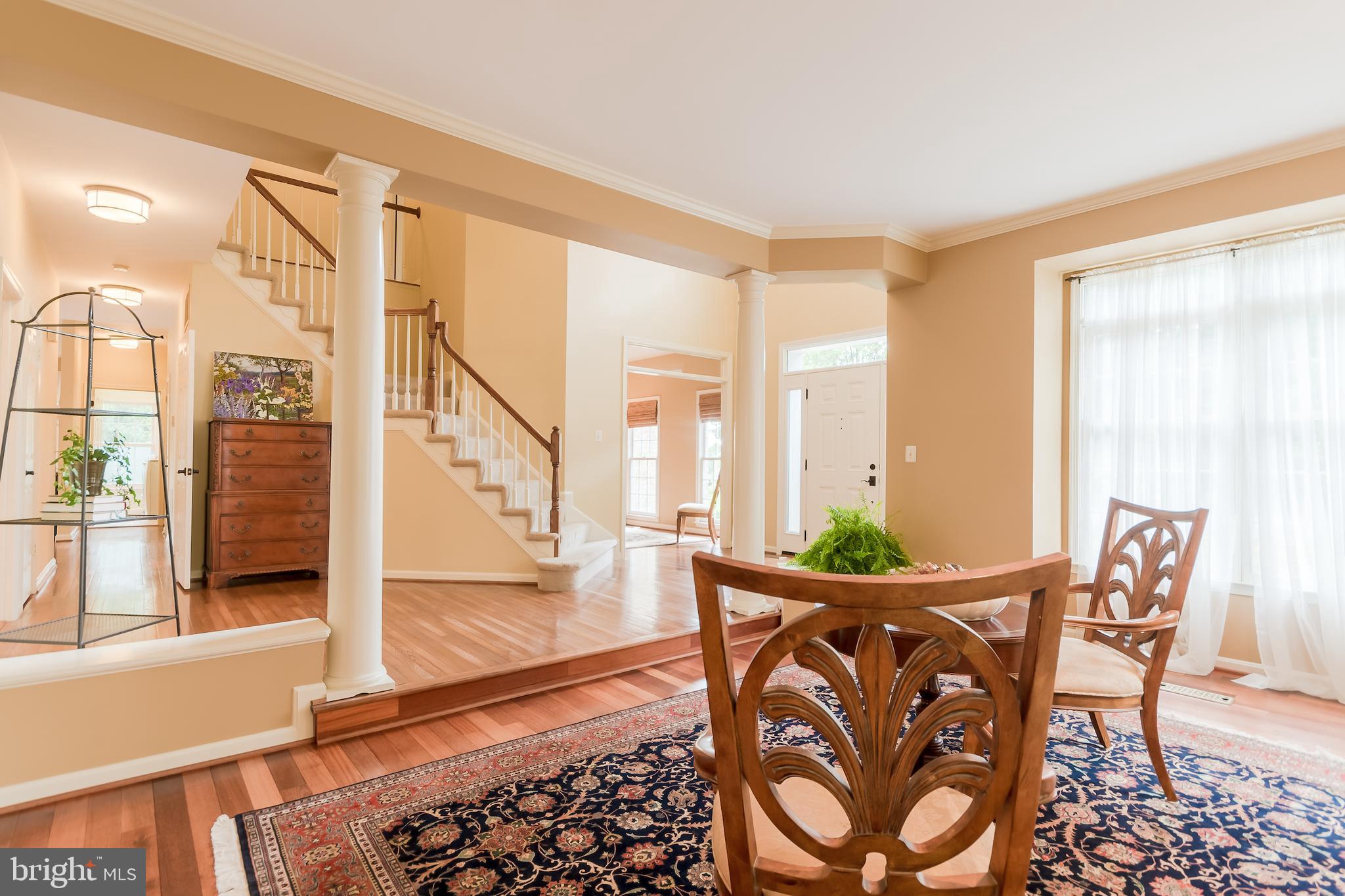 Living room & foyer