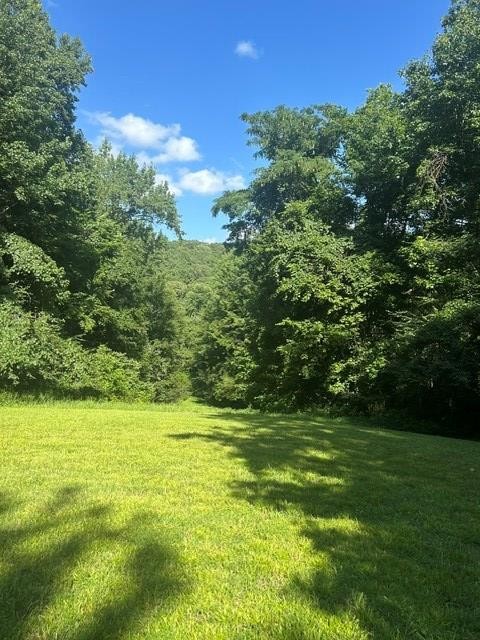 620 Eva Flatwoods Road Eva, TN 38333 - Photo 22 of 40
