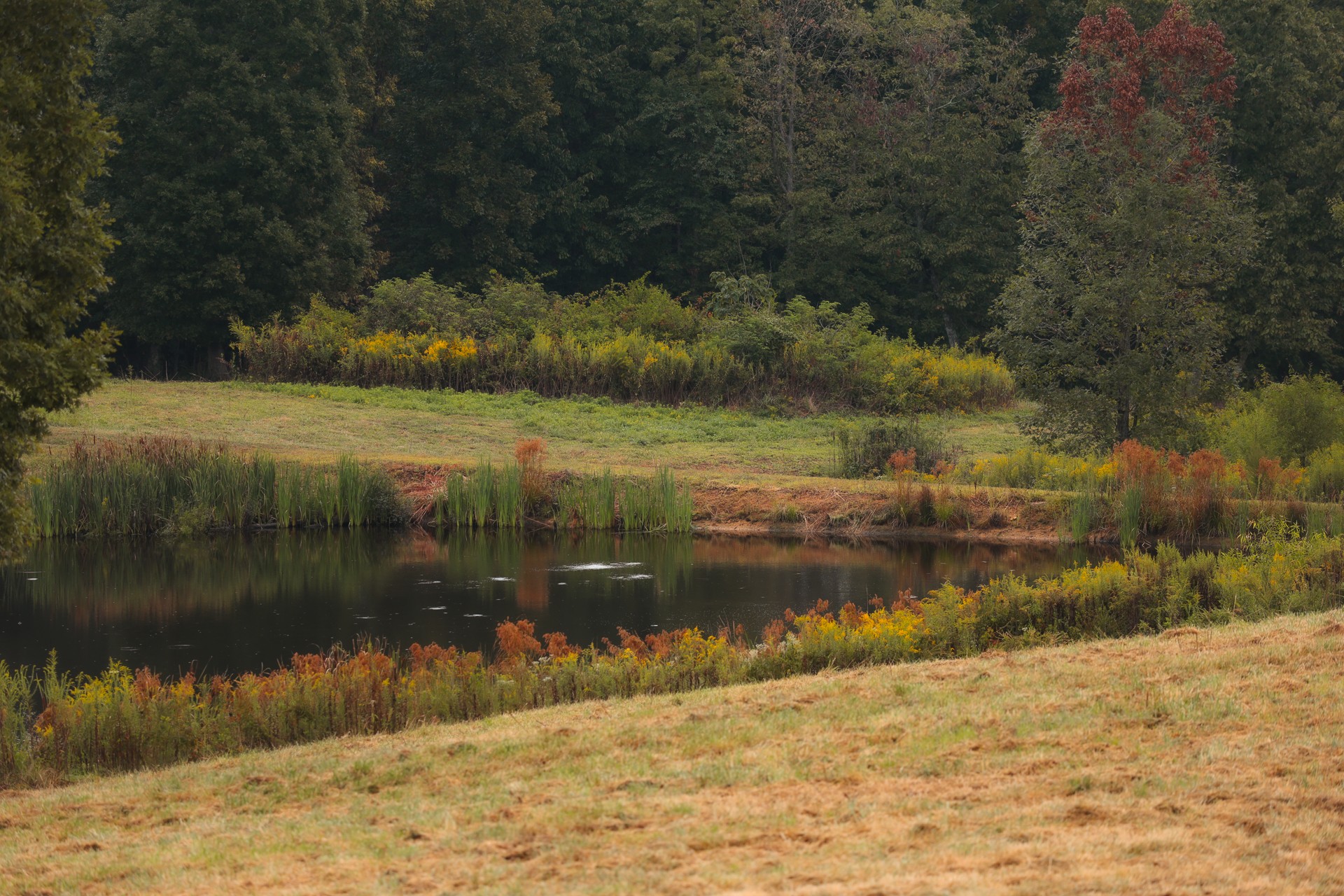 2910 Young Road Soddy Daisy, TN 37379 - Photo 8 of 51 Gallery Image 8