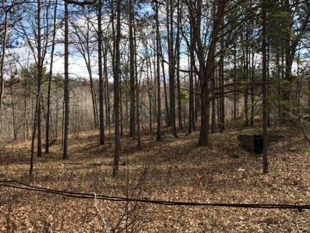 3155 Clements Road Brethren, MI 49619 - Photo 3 of 6 land