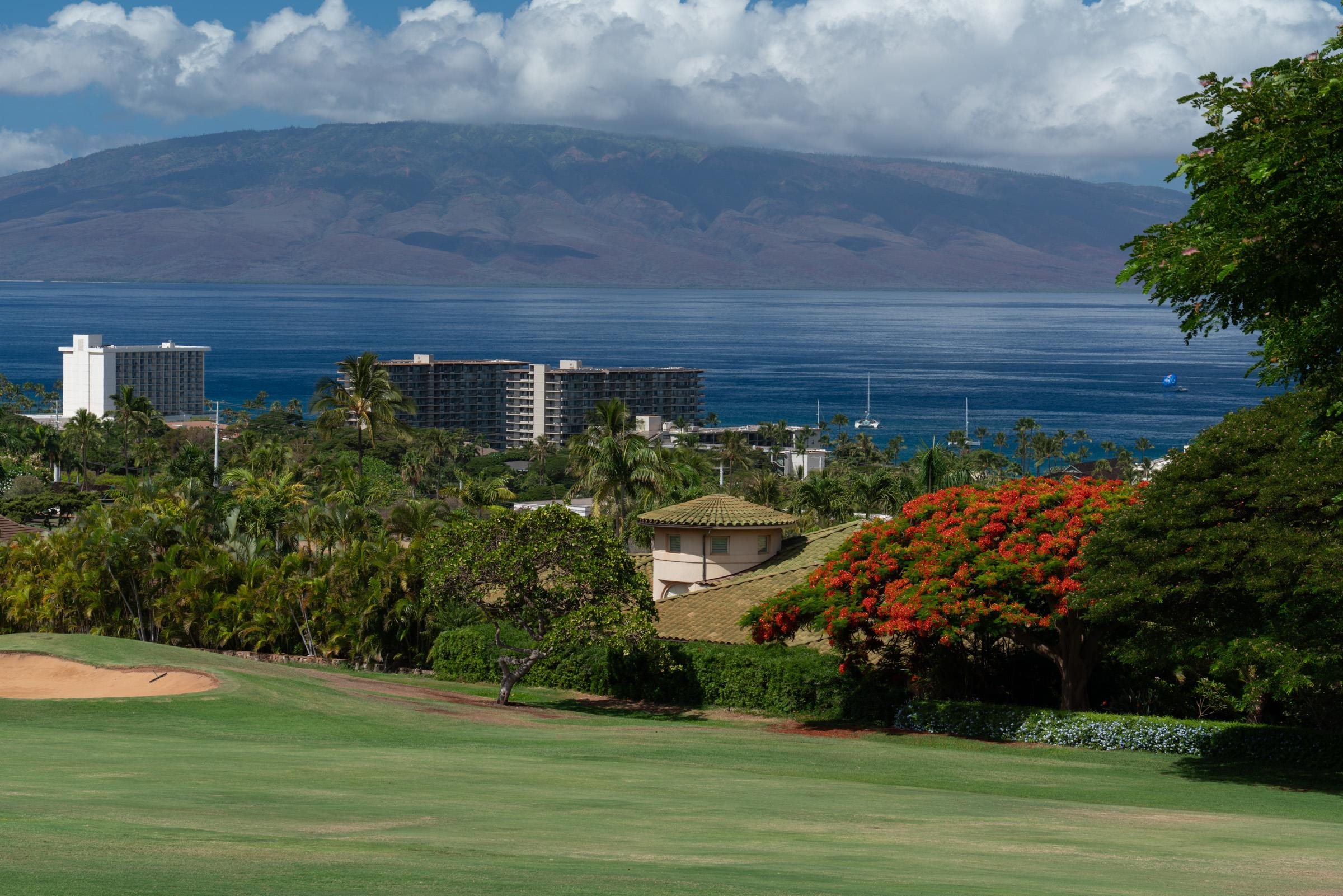 50 Puu Anoano Street, Unit 2804 Lahaina, HI 96761 - Photo 2 of 49 a front view of a house with a yard