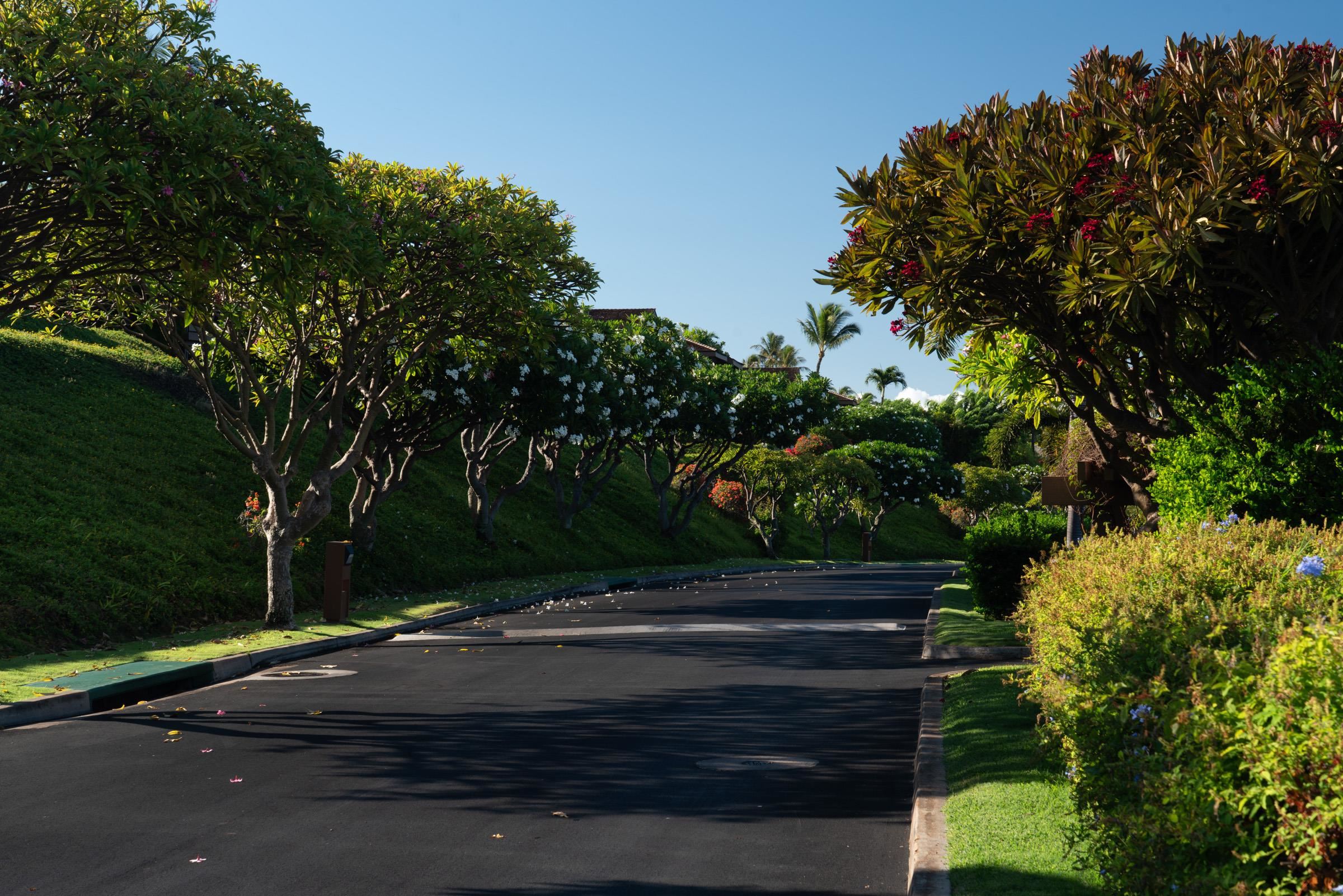 50 Puu Anoano Street, Unit 2804 Lahaina, HI 96761 - Photo 36 of 49 a view of path along with green space