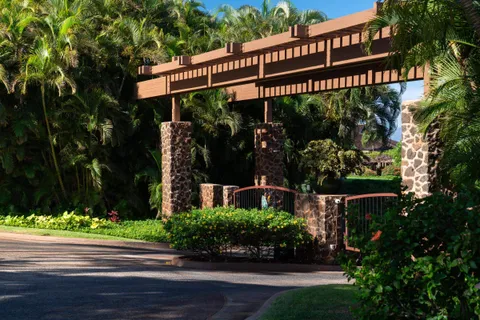 a plant with a plant in a garden