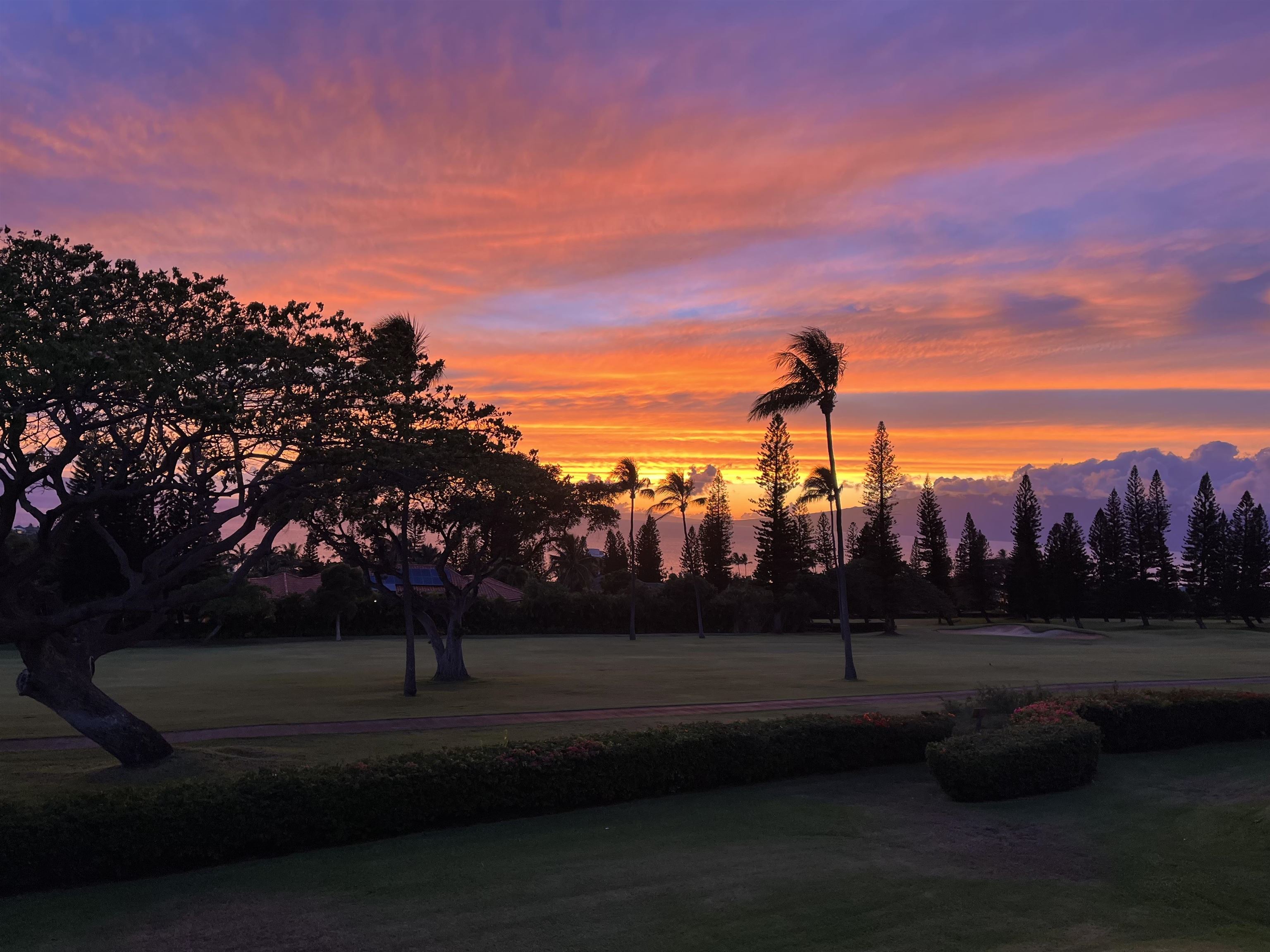 50 Puu Anoano Street, Unit 2804 Lahaina, HI 96761 - Photo 49 of 49 a view of outdoor space with green field