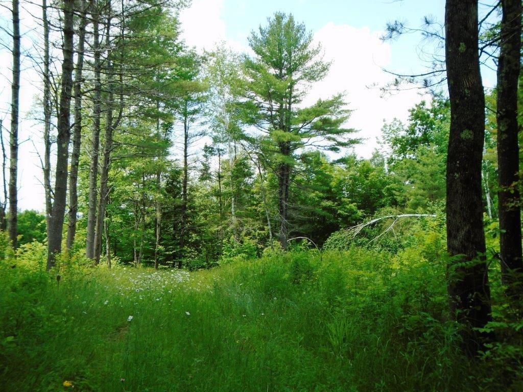 631 Pleasant View Ridge Road South China, ME 04358 - Photo 19 of 21 Access to back land