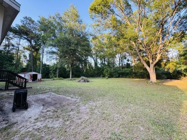 11817 Southwest 58th Street Webster, FL 33597 - Photo 43 of 46 a view of a park with large trees