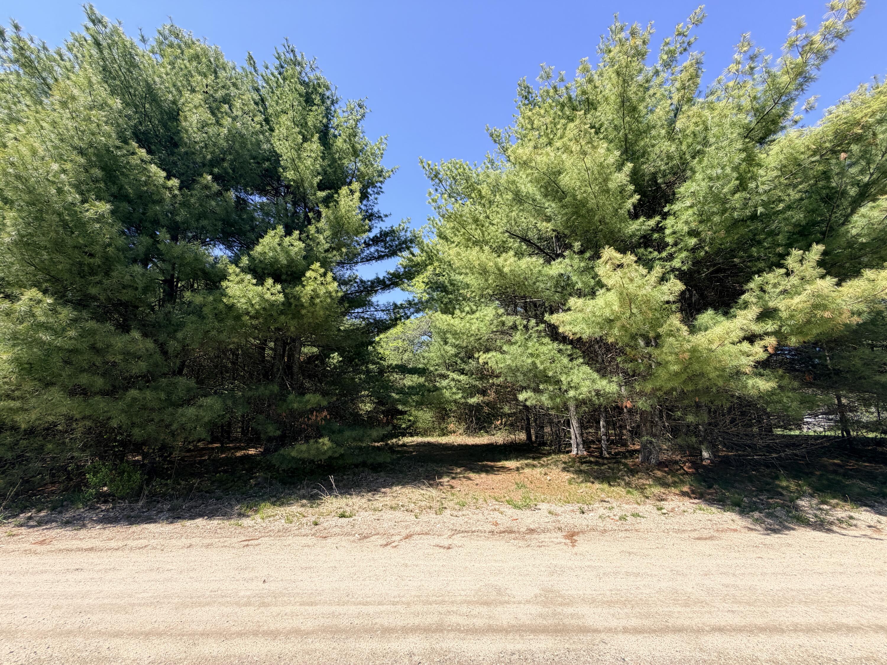 Lot 4 Emery Road Parsonsfield, ME 04047 - Photo 6 of 42 IMG_5316