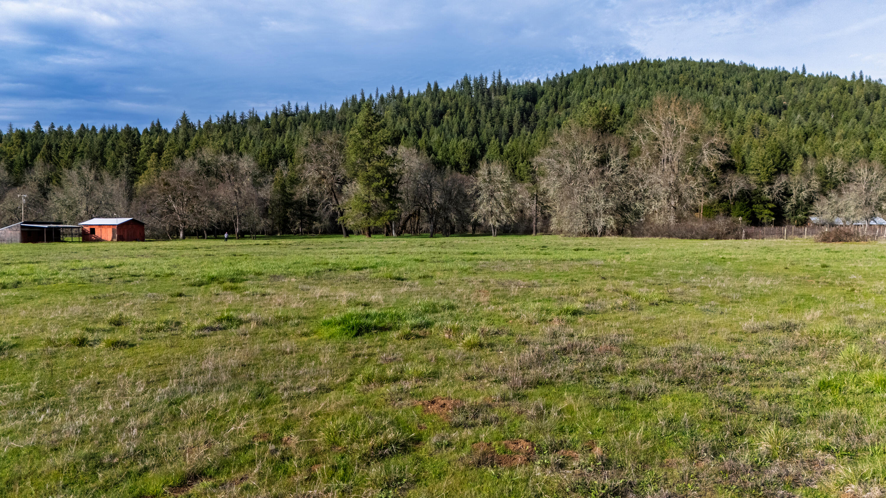 5395 Deer Creek Road Selma, OR 97538 - Photo 3 of 43 5395drone (25)