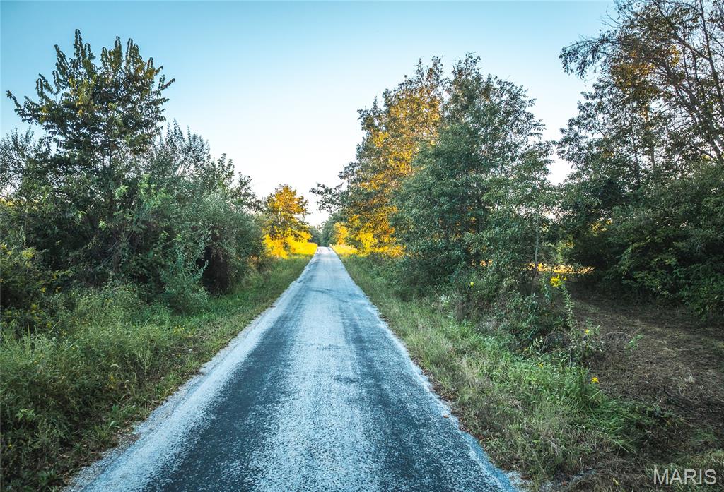 108 Chesterfield Il 62630 Chesterfield, IL 62630 - Photo 13 of 27