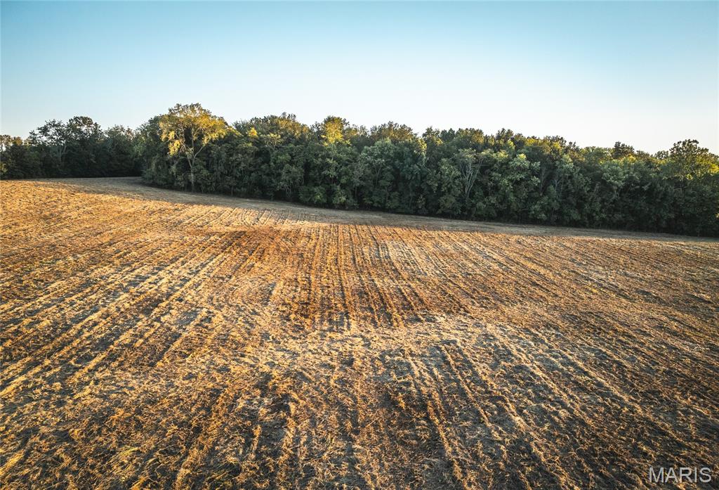 108 Chesterfield Il 62630 Chesterfield, IL 62630 - Photo 6 of 27