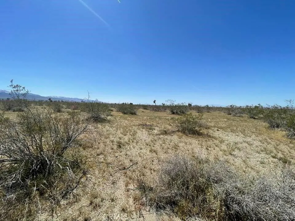 0 Dos Palmas Road Pinon Hills, CA 92372 - Photo 12 of 18