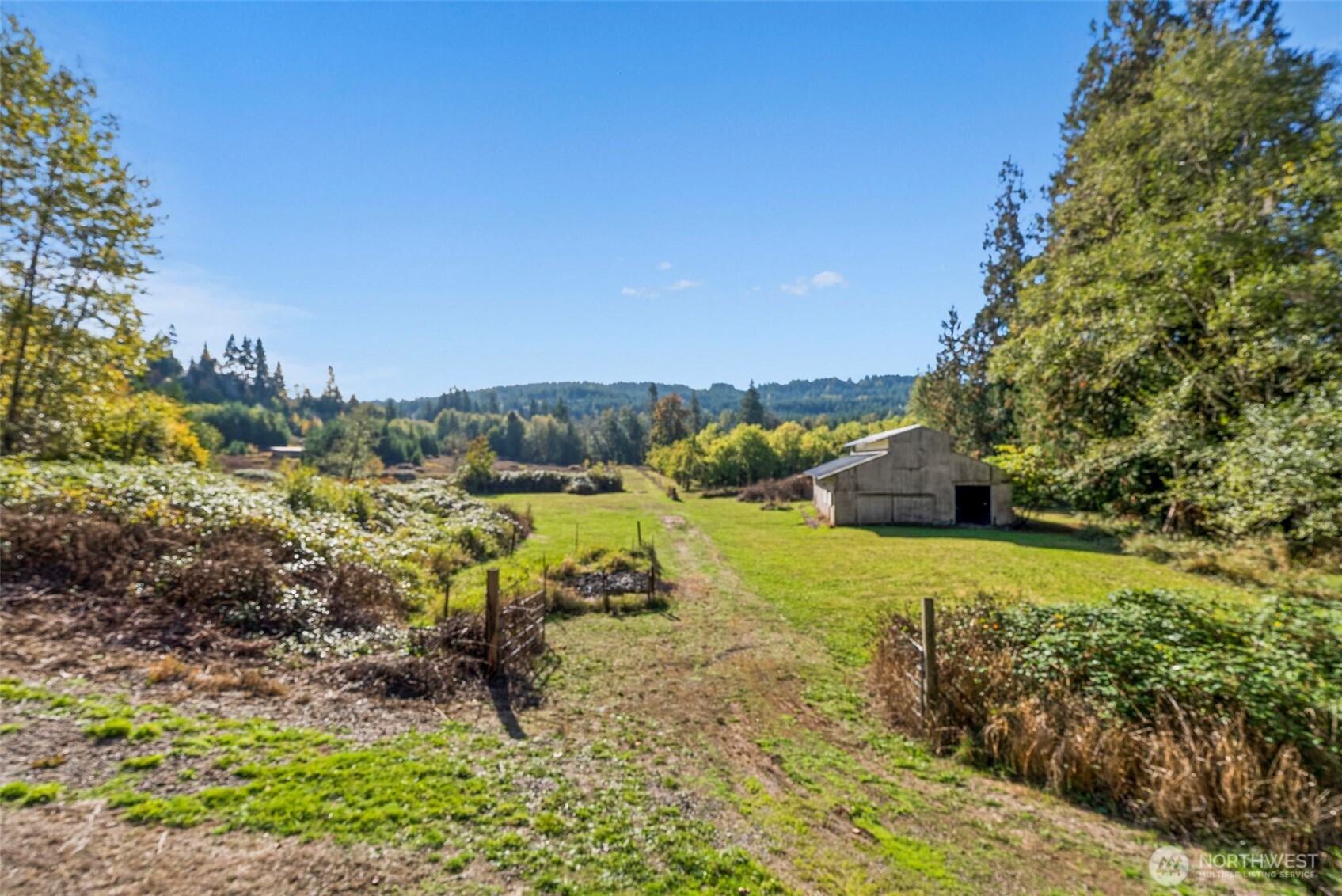 259-10 Tooley Road Toledo, WA 98591 - Photo 26 of 40 a view of a yard with an trees